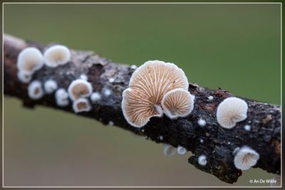 _MG_8220.jpg