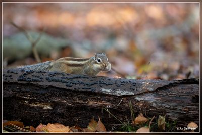 _MG_0210.jpg