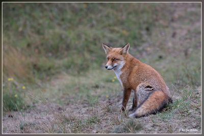 _MG_1267.jpg