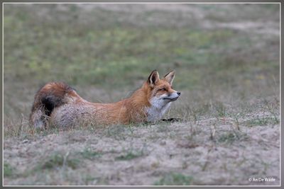 _MG_1030.jpg