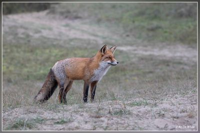 _MG_1033.jpg
