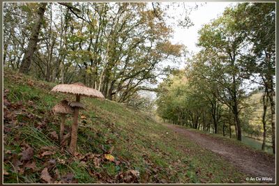 _MG_1493.jpg
