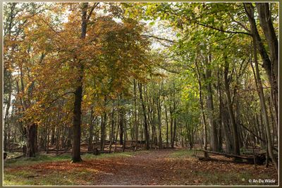 _MG_1502.jpg