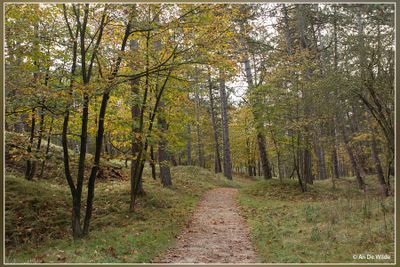 _MG_1557.jpg