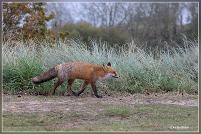 _MG_2041.jpg