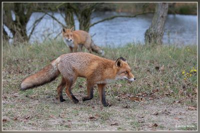 _MG_2137.jpg