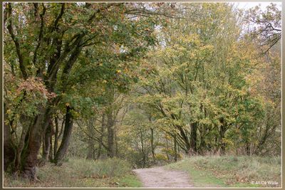 _MG_2299.jpg
