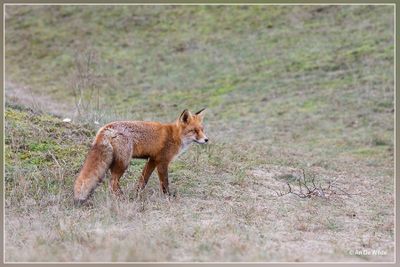 _MG_3701.jpg