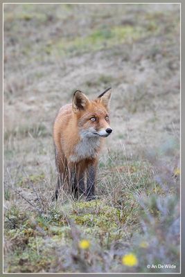 _MG_1780.jpg
