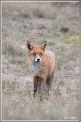 _MG_1813.jpg