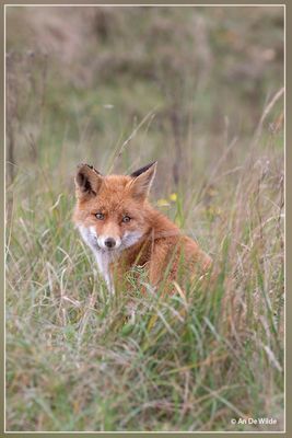 _MG_2554.jpg