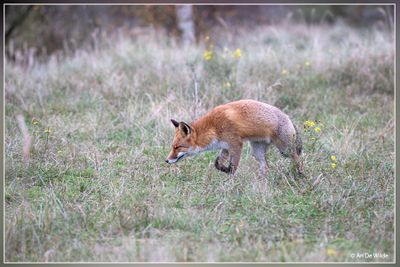 _MG_2795.jpg