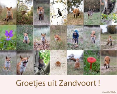 Zandvoort 2024 herfstvakantie