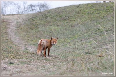 _MG_3705.jpg