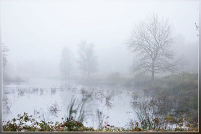_MG_4753.jpg