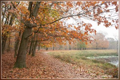 _MG_4873.jpg