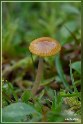 _MG_5059.jpg