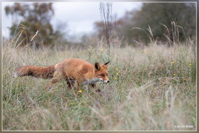 _MG_2838.jpg