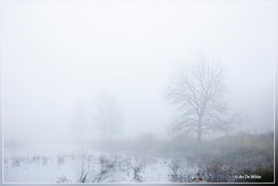 _MG_4726.jpg