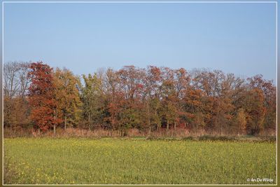 _MG_4984.jpg