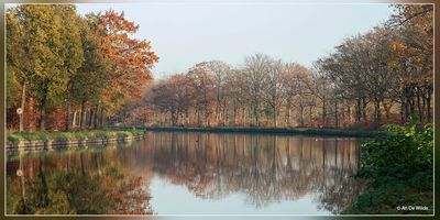 _MG_5008.jpg