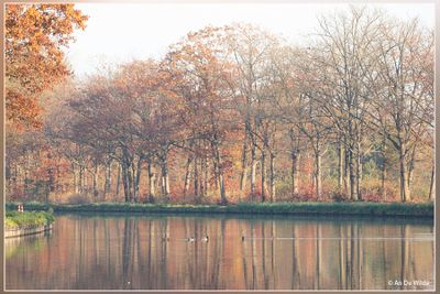 _MG_5009.jpg