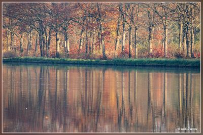 _MG_5026.jpg