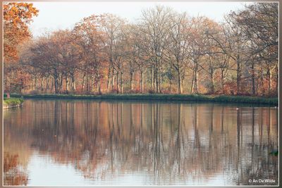 _MG_5029.jpg