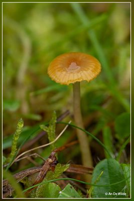 _MG_5044.jpg