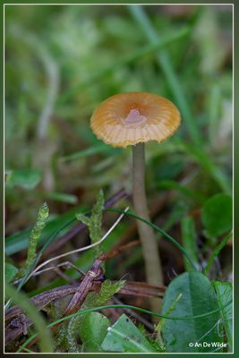 _MG_5047.jpg