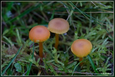 _MG_5321+5322.jpg