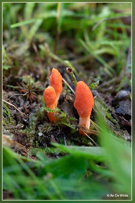 _MG_5476+5477.jpg