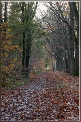 _MG_5525.jpg