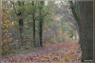 _MG_5527.jpg