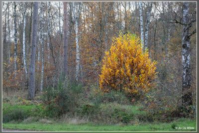 _MG_5768.jpg