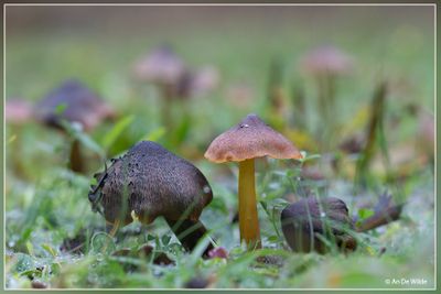 _MG_5149.jpg