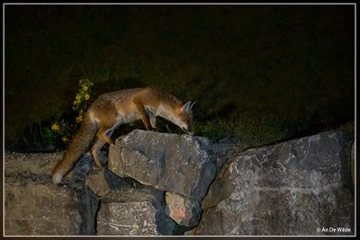 _MG_1280.jpg
