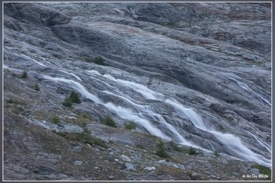 _MG_3808.jpg