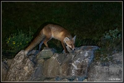 _MG_3847.jpg