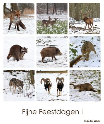 kaartje fauna jpg.jpg