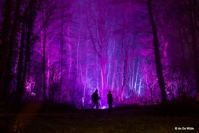 Winterlicht 2024