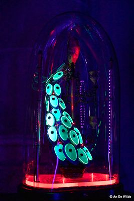 _MG_6021.jpg
