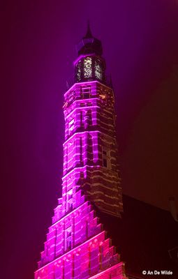 _MG_6049.jpg