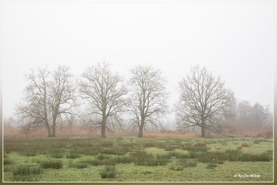 _MG_6322.jpg