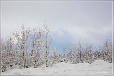 _MG_6613.jpg
