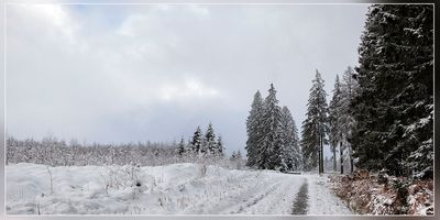 _MG_6615+6616.jpg