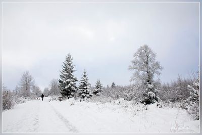 _MG_6637kopie.jpg