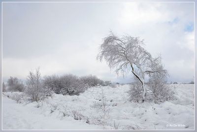 _MG_6654.jpg
