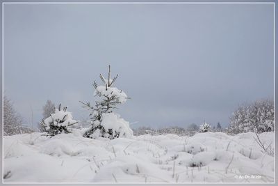 _MG_6665.jpg