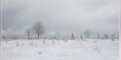 _MG_6687.jpg